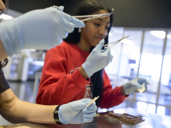 Students practicing suturing